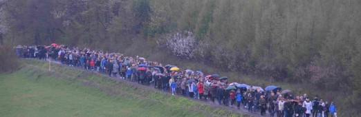 Droga Krzyżowa na Tarnawską Golgotę