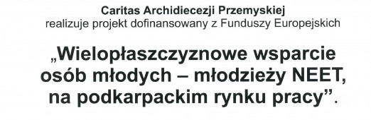 Ogłoszenie „Wielopłaszczyznowe wsparcie osób młodych ... "