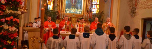 Odpust ku czci św. Wojciecha