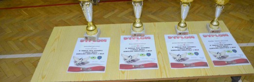 Święto 3-go Maja na sportowo