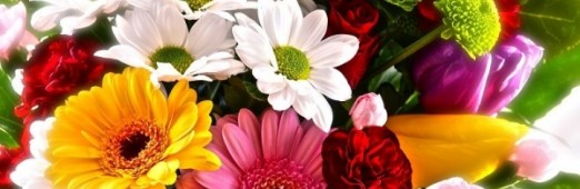 Życzenia Imieninowe dla Księdza Proboszcza