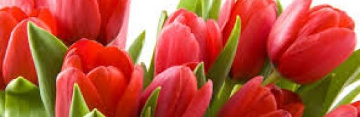 Z życzeniami dla Księdza Grzegorza