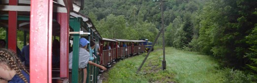 Podsumowanie roku pracy RSZ