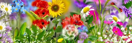 Życzenia dla Księdzia Proboszcza