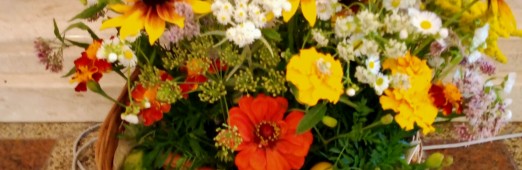 Uroczystość Wniebowzięcia NMP